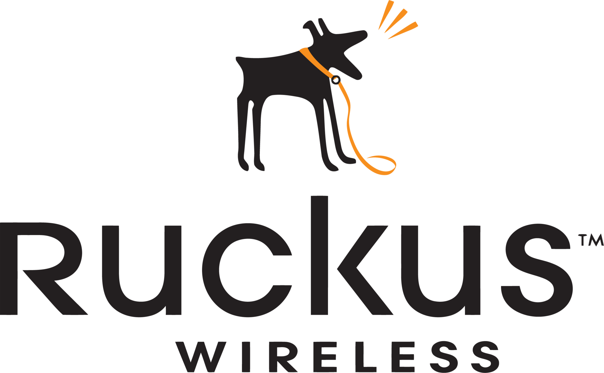 Ruckus Wireless